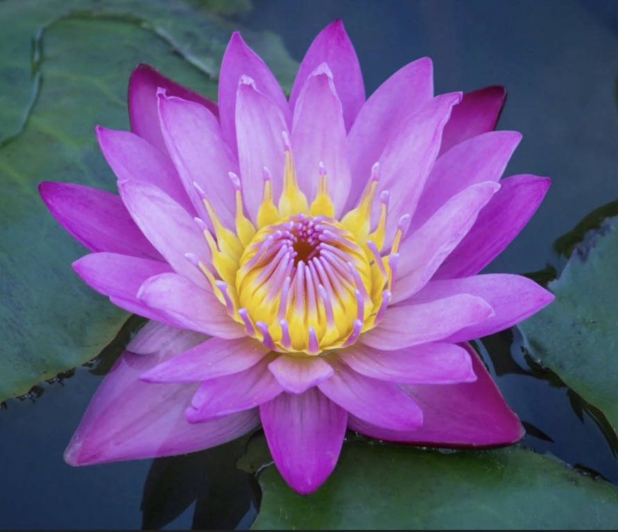 Finding Who You Are Outside of Being a Mother / Woman&nbsp;✨❤️💃