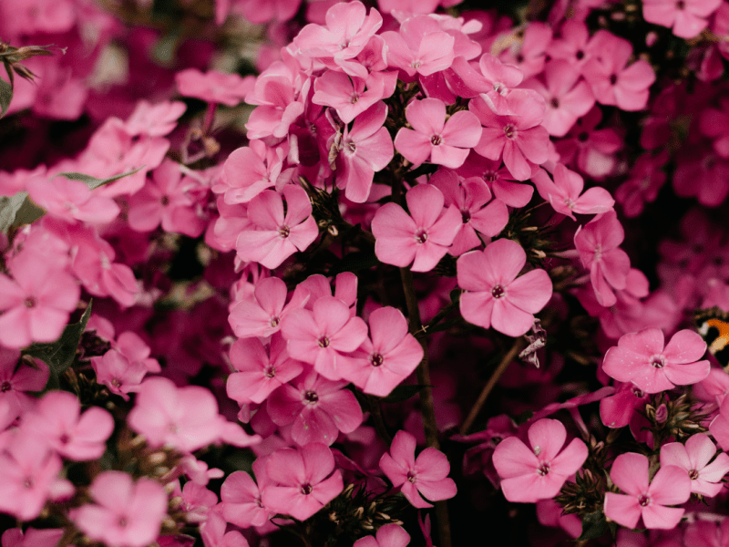 There is No One in The World Like&nbsp;You